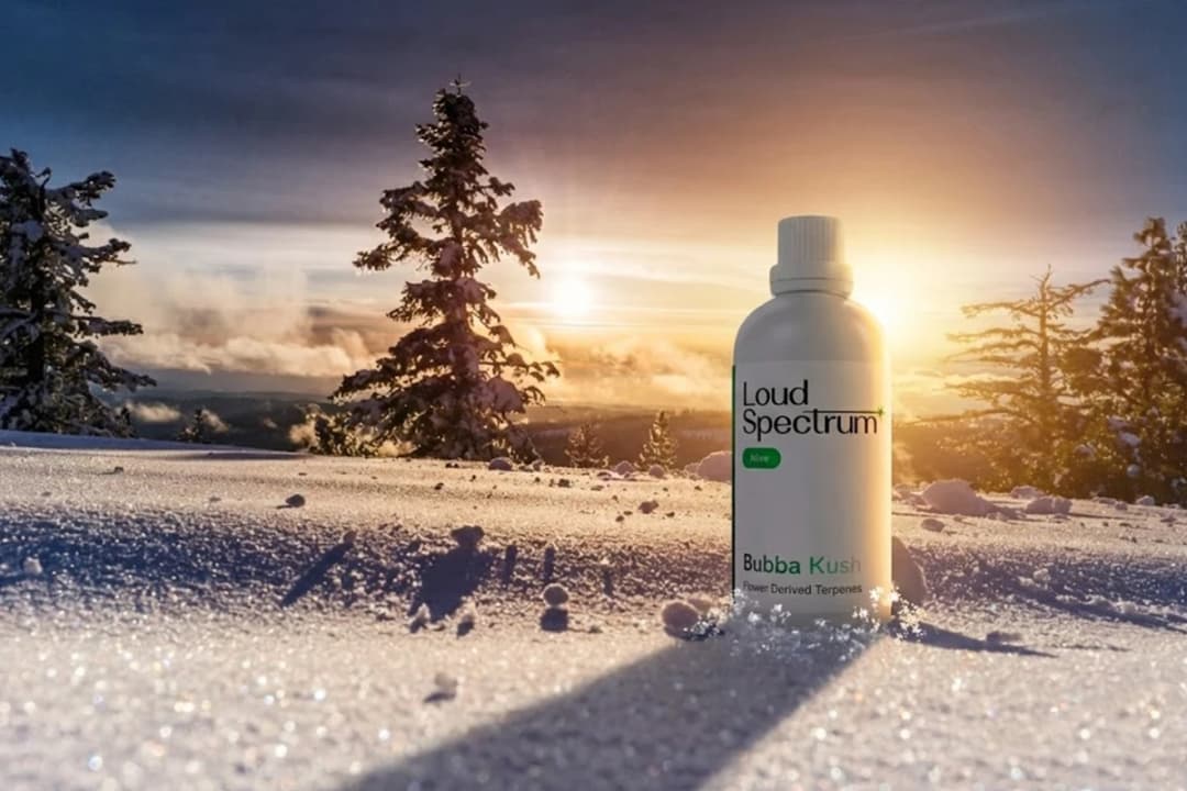 Top 10 Most Loved Terpene Profiles of All Time