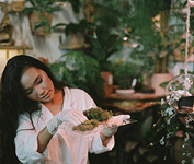 Sex and Terpenes: Using Terpenes in the Bedroom