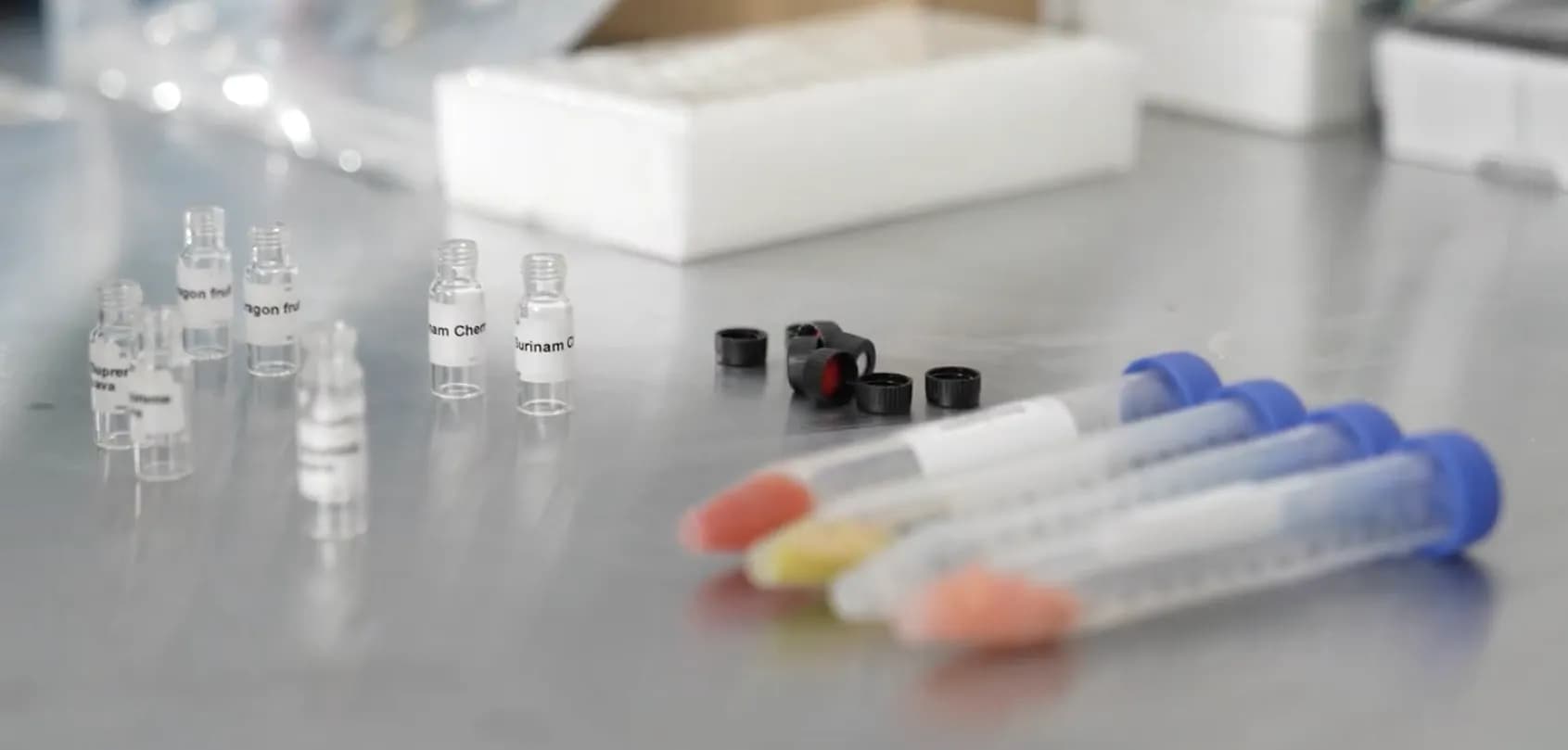 Various laboratory supplies on a stainless steel surface. Small clear glass vials with white labels like Dragon Fruit and Surinam Cherry stand on the left. In the center are several black screw caps, and on the right, four plastic syringes with blue caps contain different colored substances in red, yellow, and peach tones.