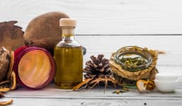 Natural botanical terpenes derived from plants, herbs, and essential oils